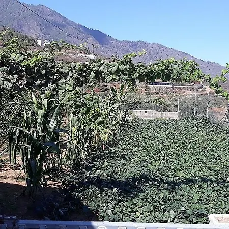 Alojamento de Turismo Selvagem Rustica En Arafo